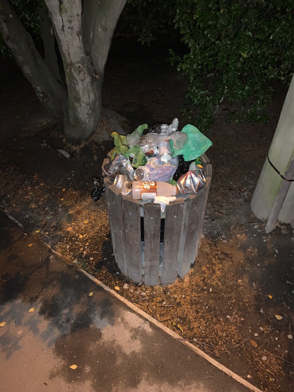 The photograph attached to this parks report