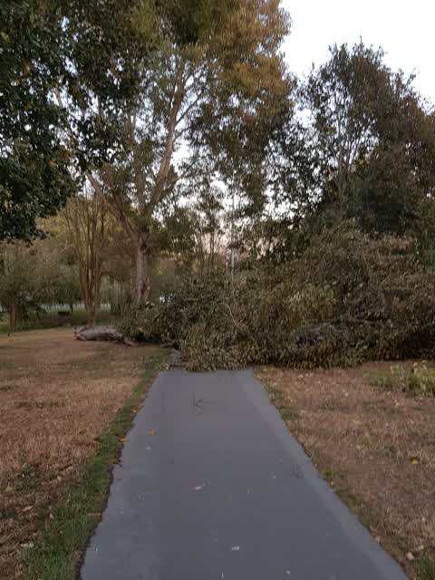 Parks, a report photo