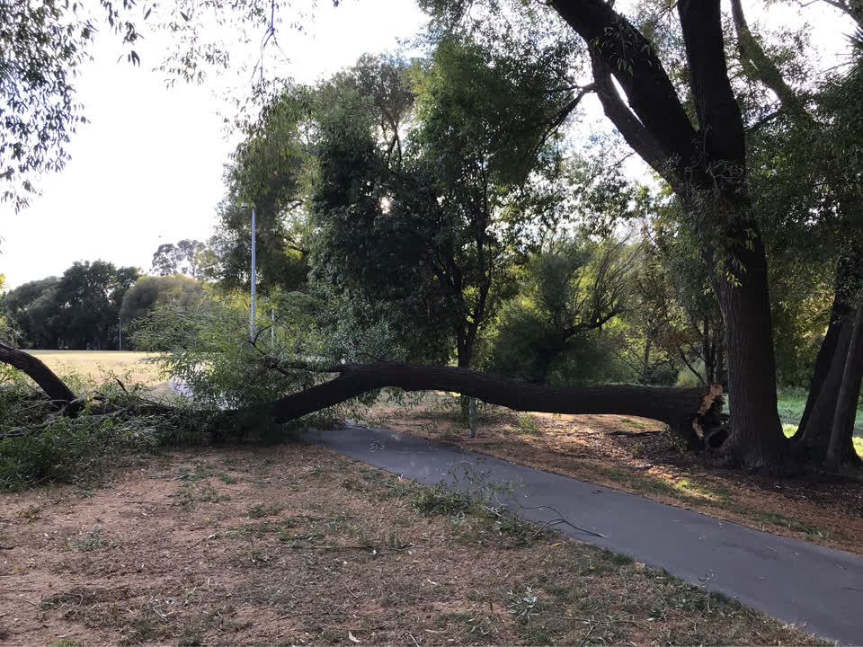 The photograph attached to this parks report