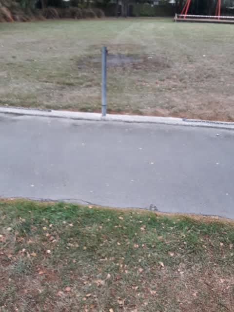 Parks, a report photo