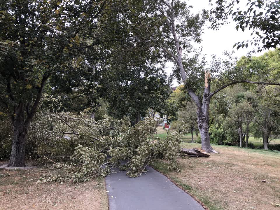 The photograph attached to this parks report