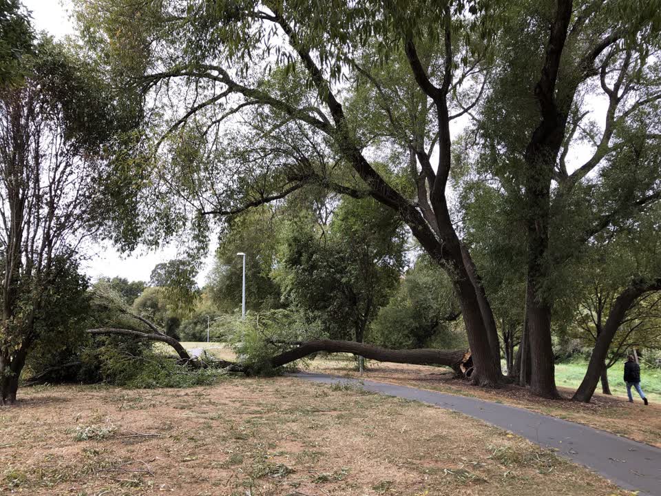 The photograph attached to this parks report
