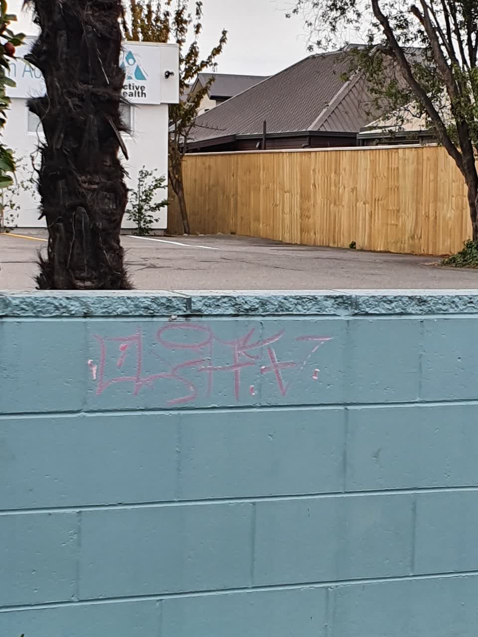 The photograph attached to this graffiti report