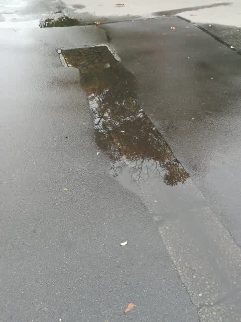 Wastewater/Stormwater — a report photo