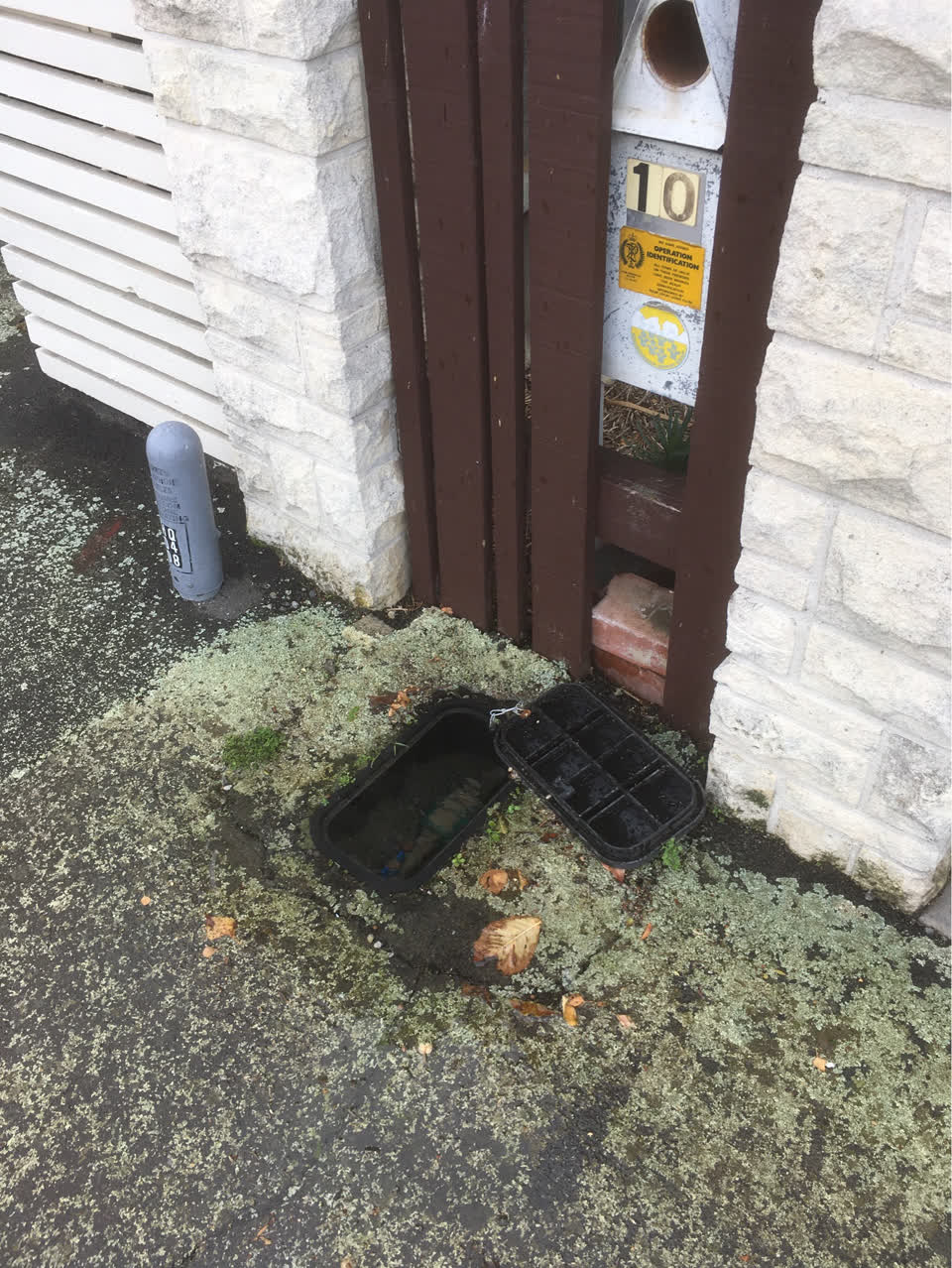 The photograph attached to this water supply report