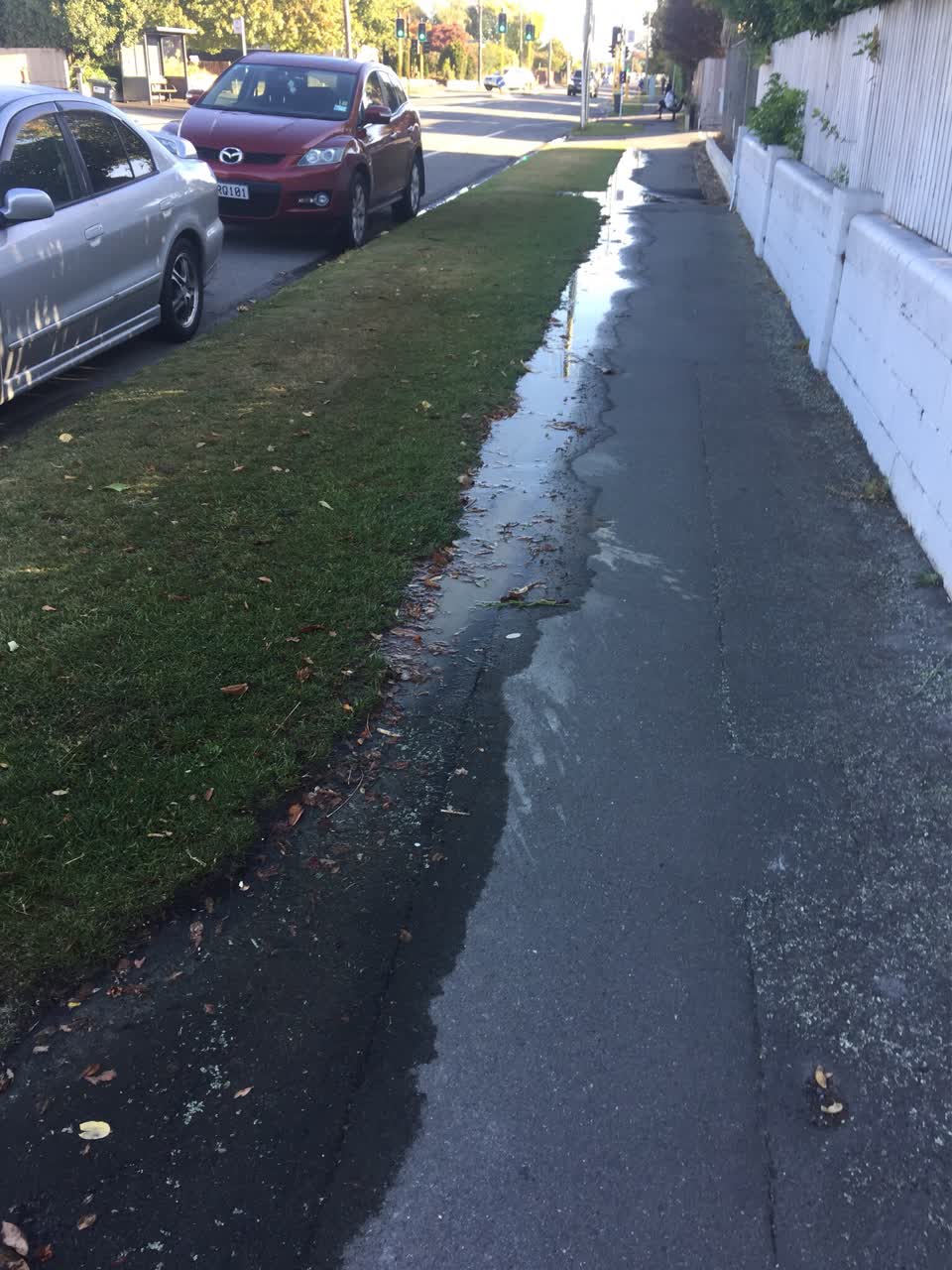 The photograph attached to this water supply report