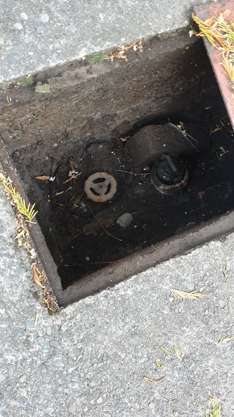 Water Supply, a report photo