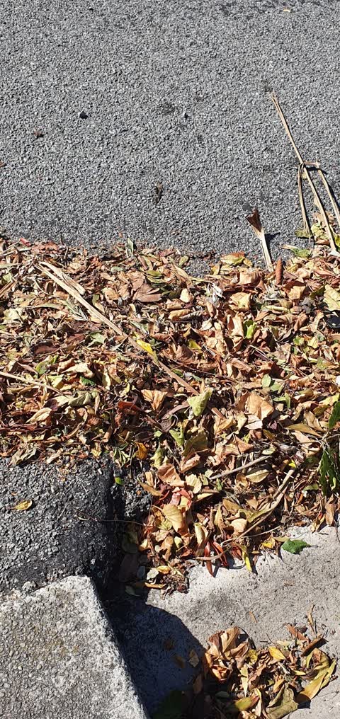 Roading/Streets — a report photo