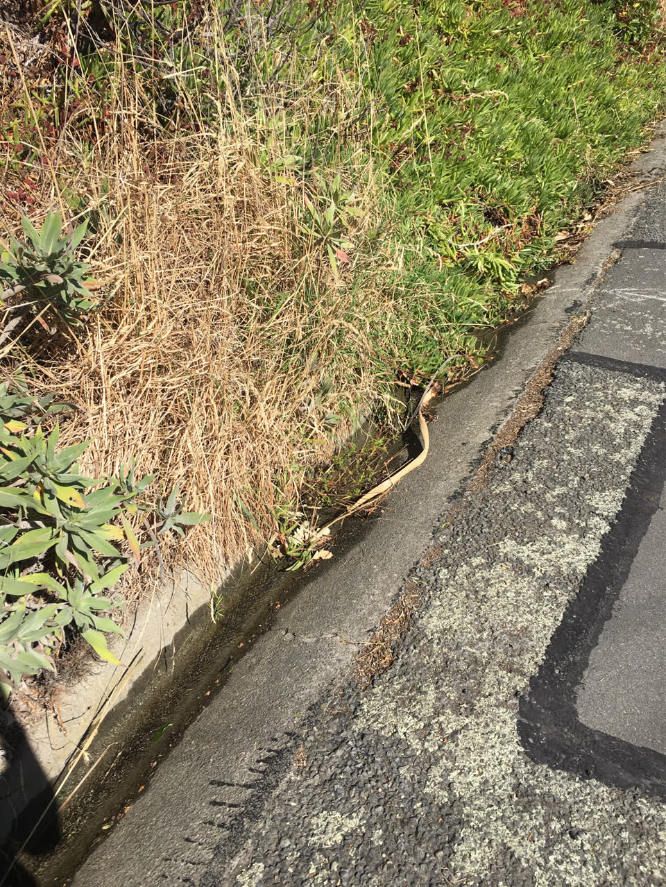 The photograph attached to this water supply report