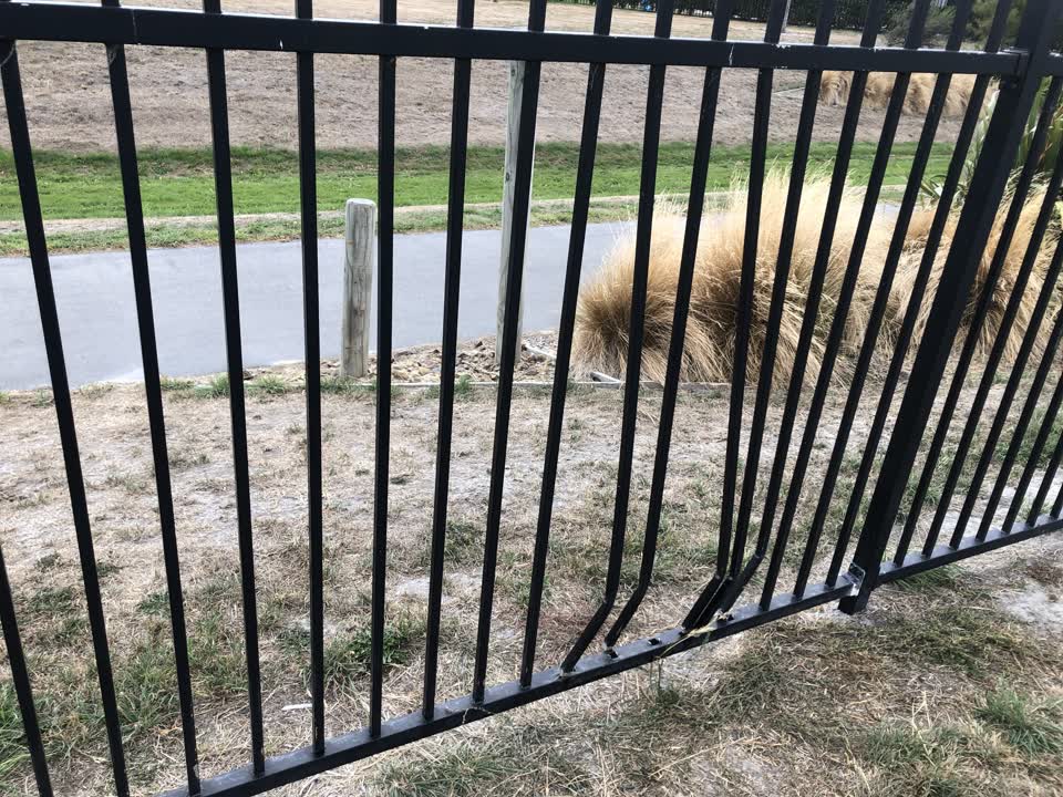 The photograph attached to this parks report