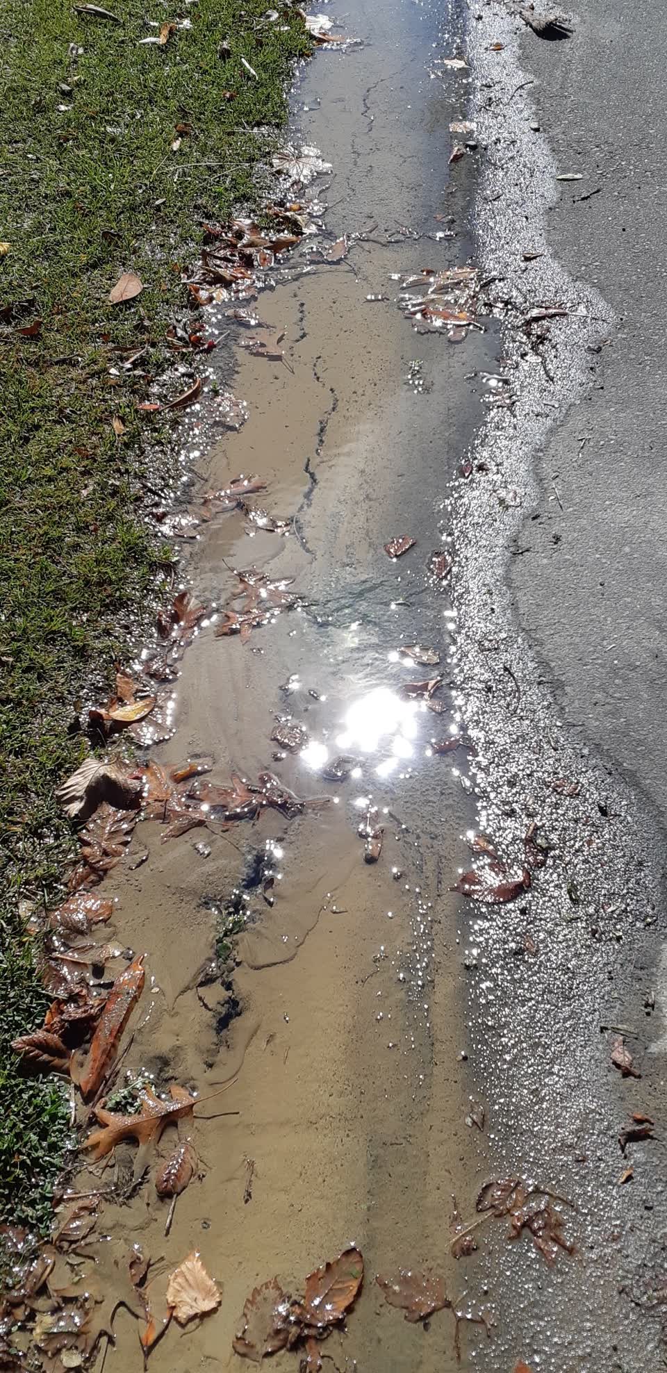The photograph attached to this water supply report
