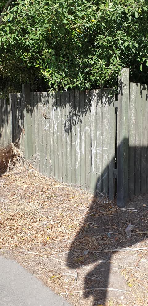 Graffiti, a report photo