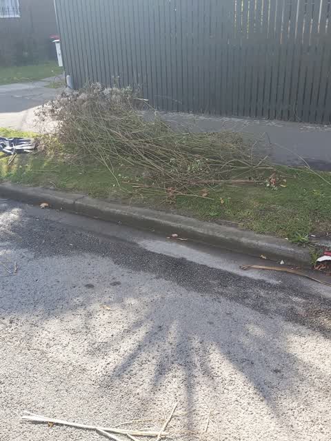 Rubbish/Recycling — a report photo