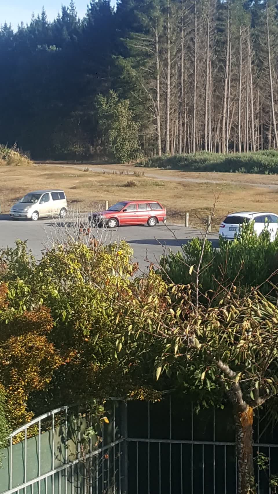 The photograph attached to this parks report