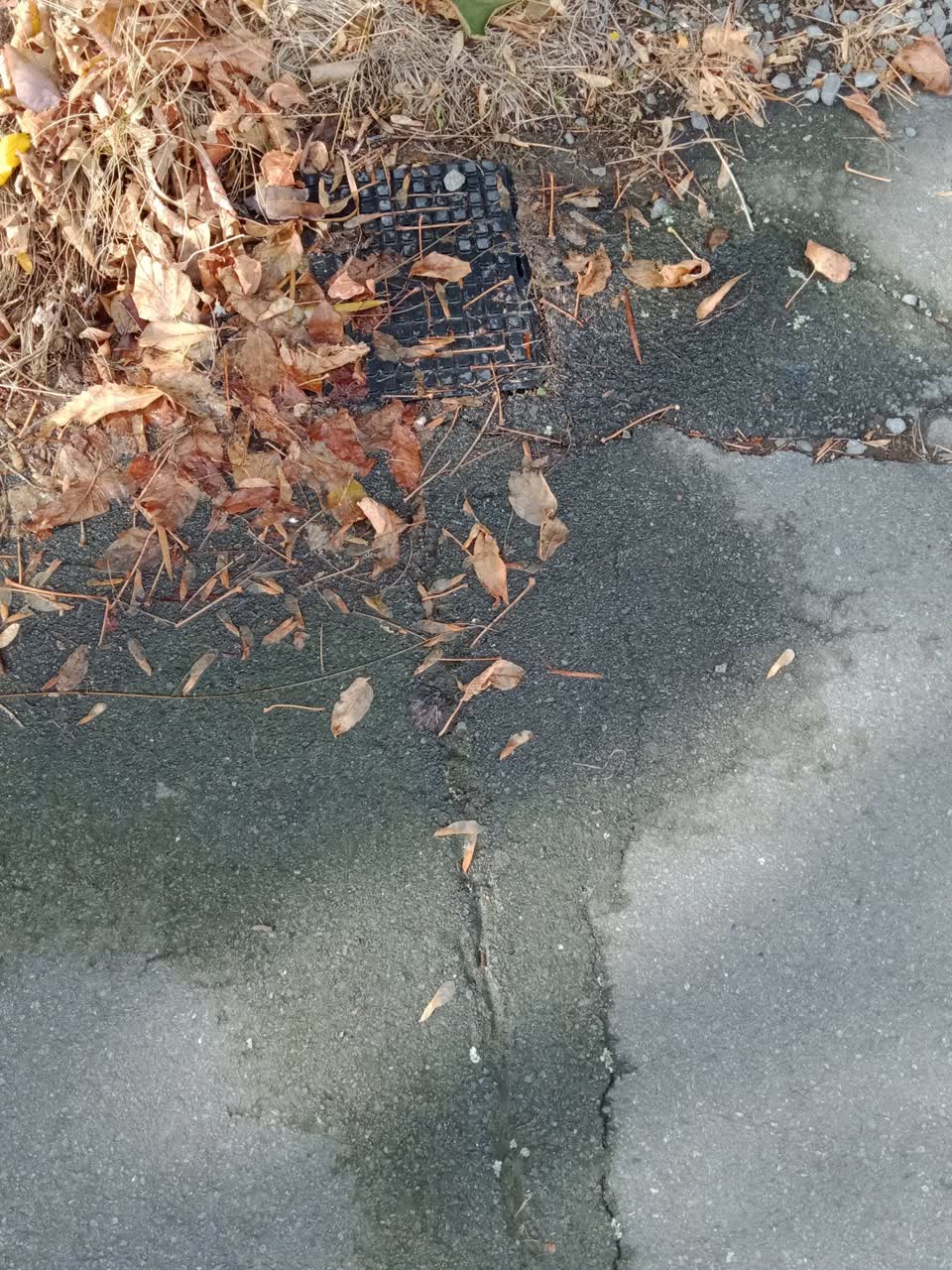 The photograph attached to this water supply report