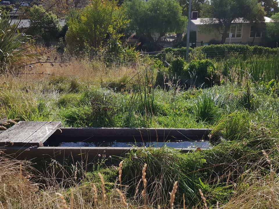 The photograph attached to this water supply report