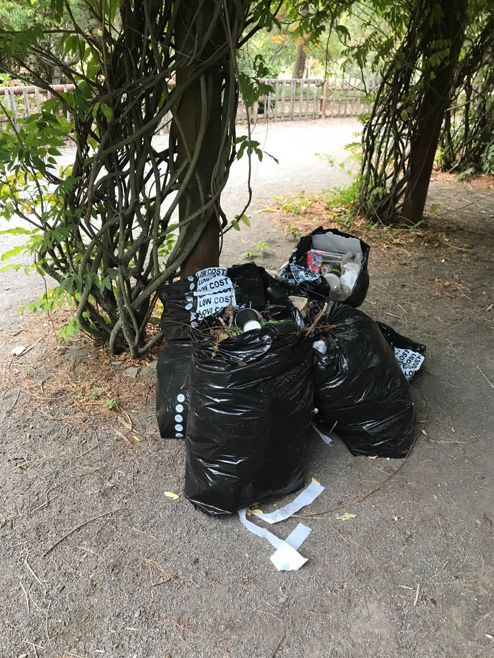 The photograph attached to this rubbish/recycling report