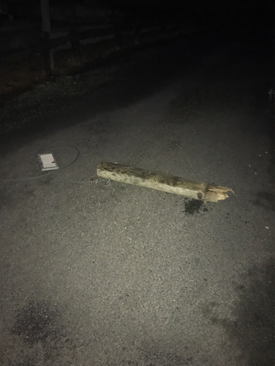 The photograph attached to this parks report