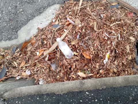 Wastewater/Stormwater, a report photo