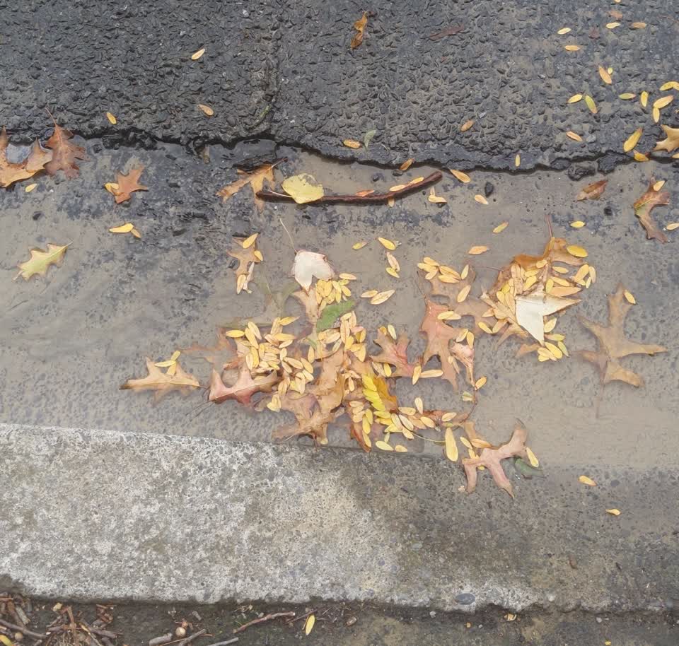 The photograph attached to this water supply report