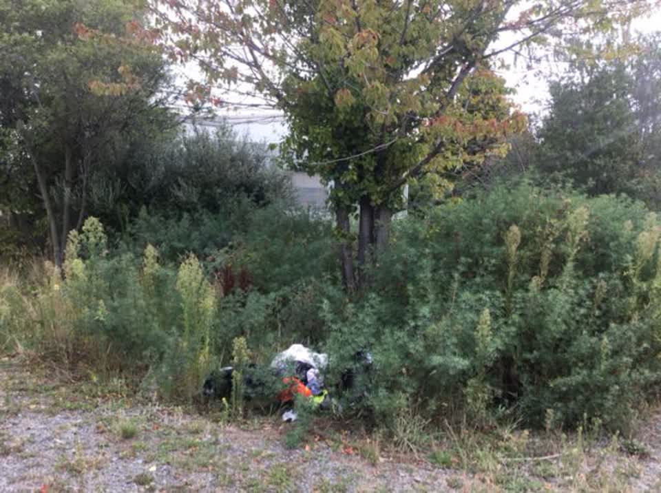The photograph attached to this rubbish/recycling report