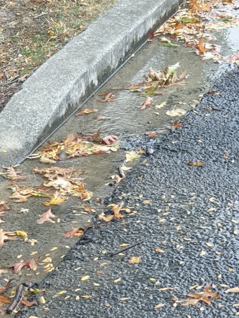 Water Supply, a report photo