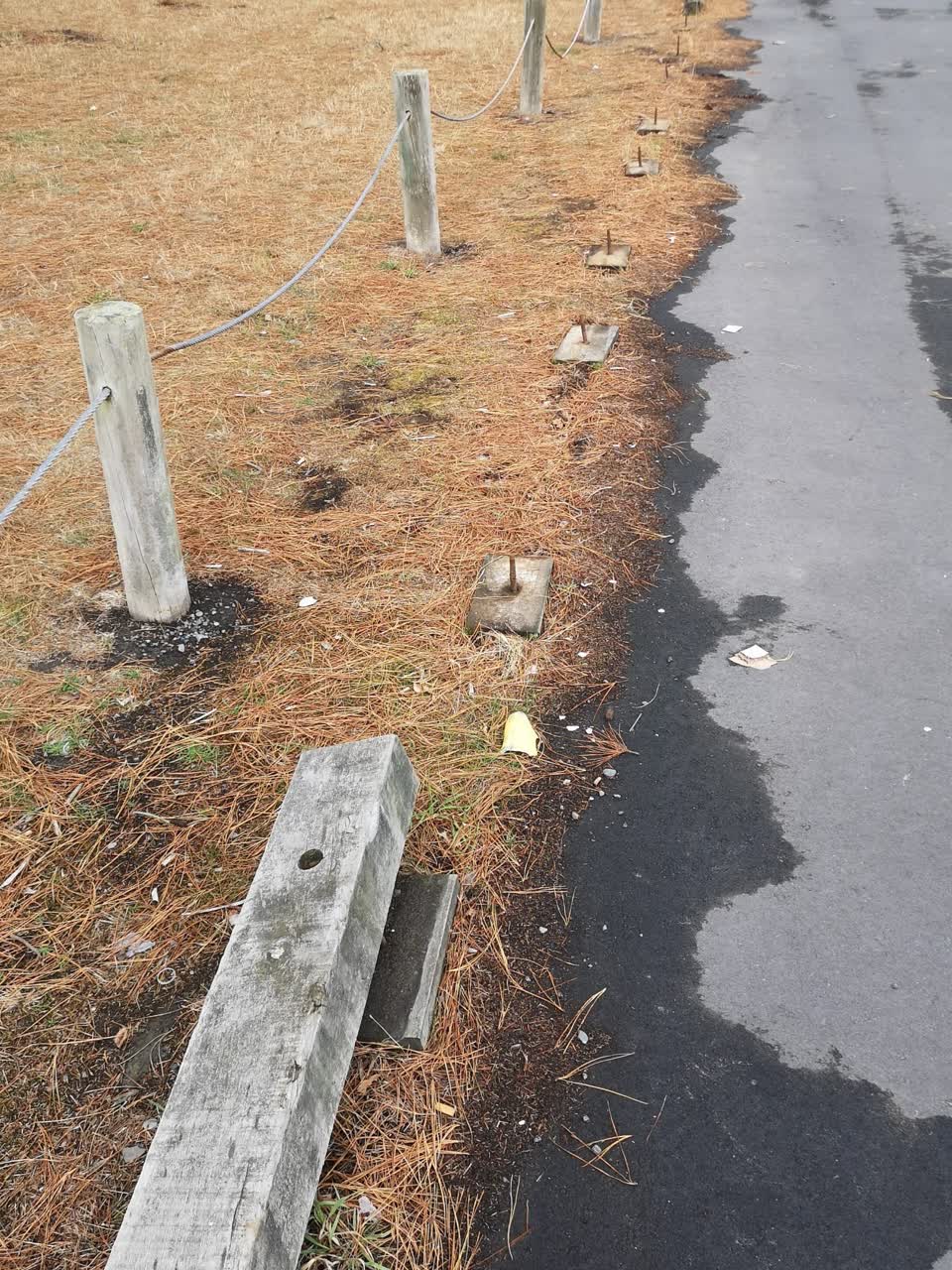 The photograph attached to this parks report
