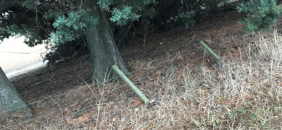 The photograph attached to this parks report