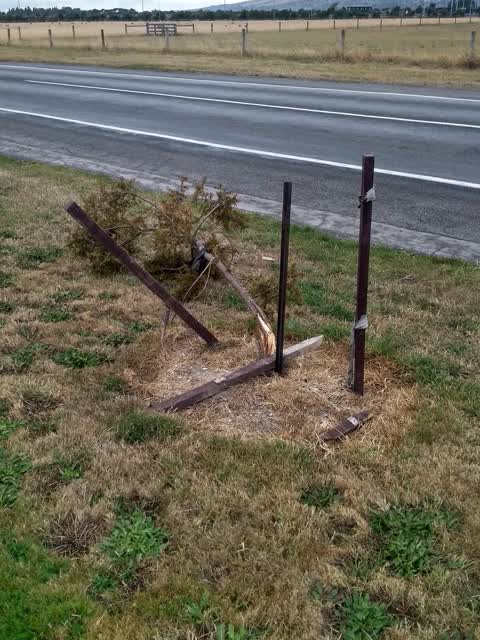 Parks — a report photo