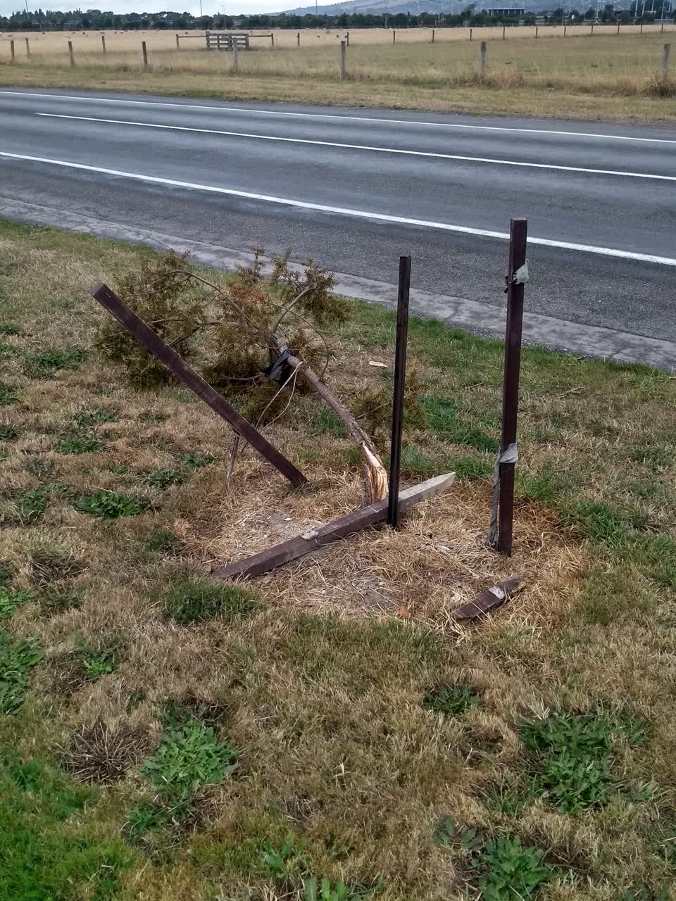 The photograph attached to this parks report