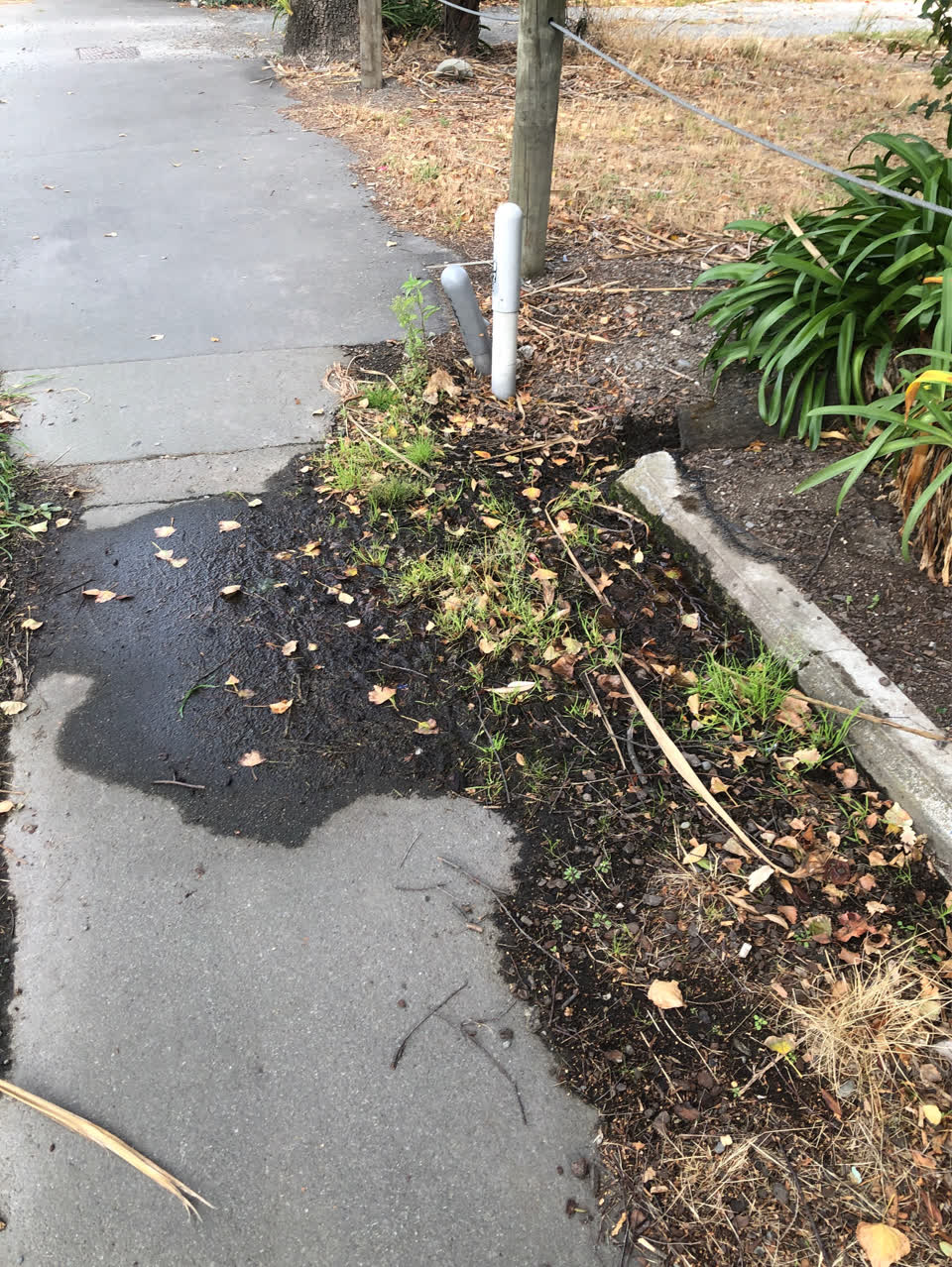 The photograph attached to this water supply report