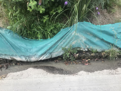 Wastewater/Stormwater, a report photo