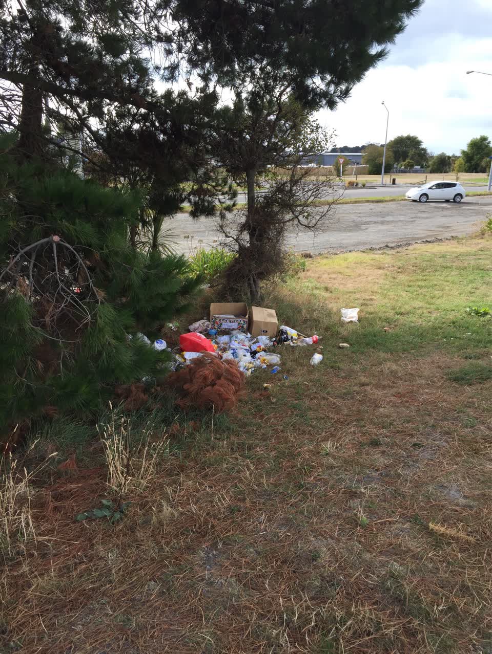 The photograph attached to this rubbish/recycling report