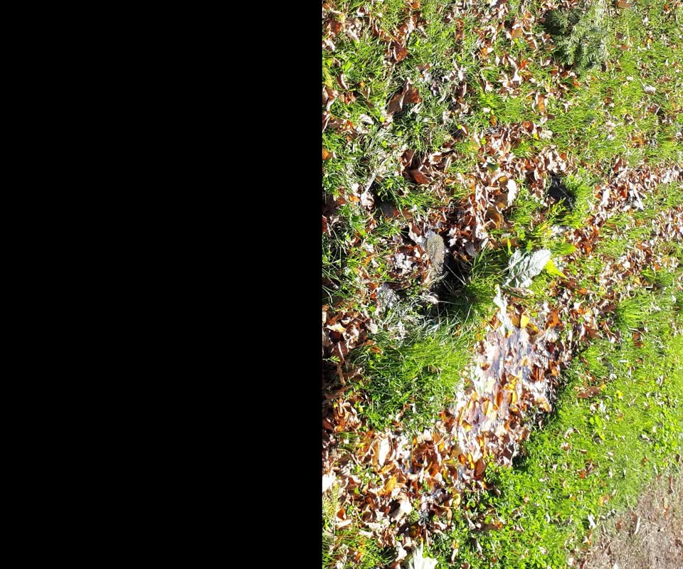 The photograph attached to this water supply report