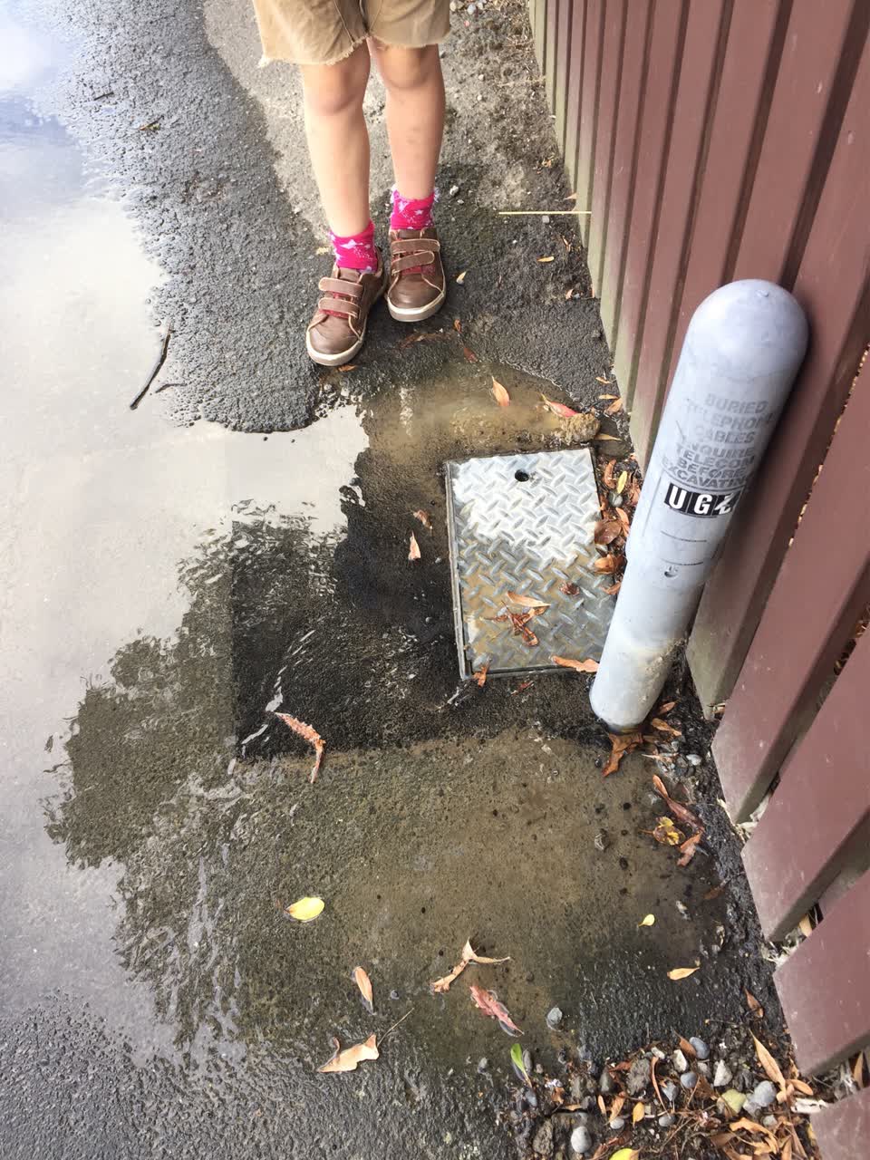 The photograph attached to this flooding report
