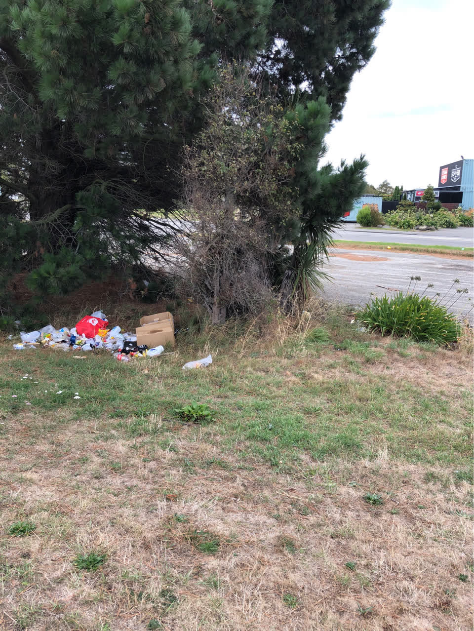 The photograph attached to this rubbish/recycling report