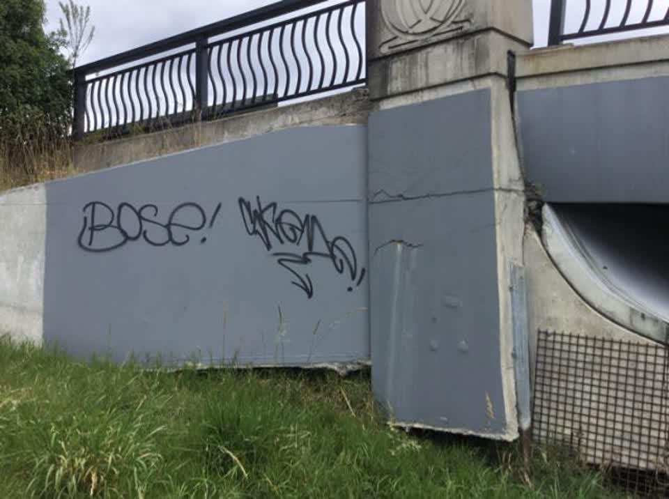The photograph attached to this graffiti report
