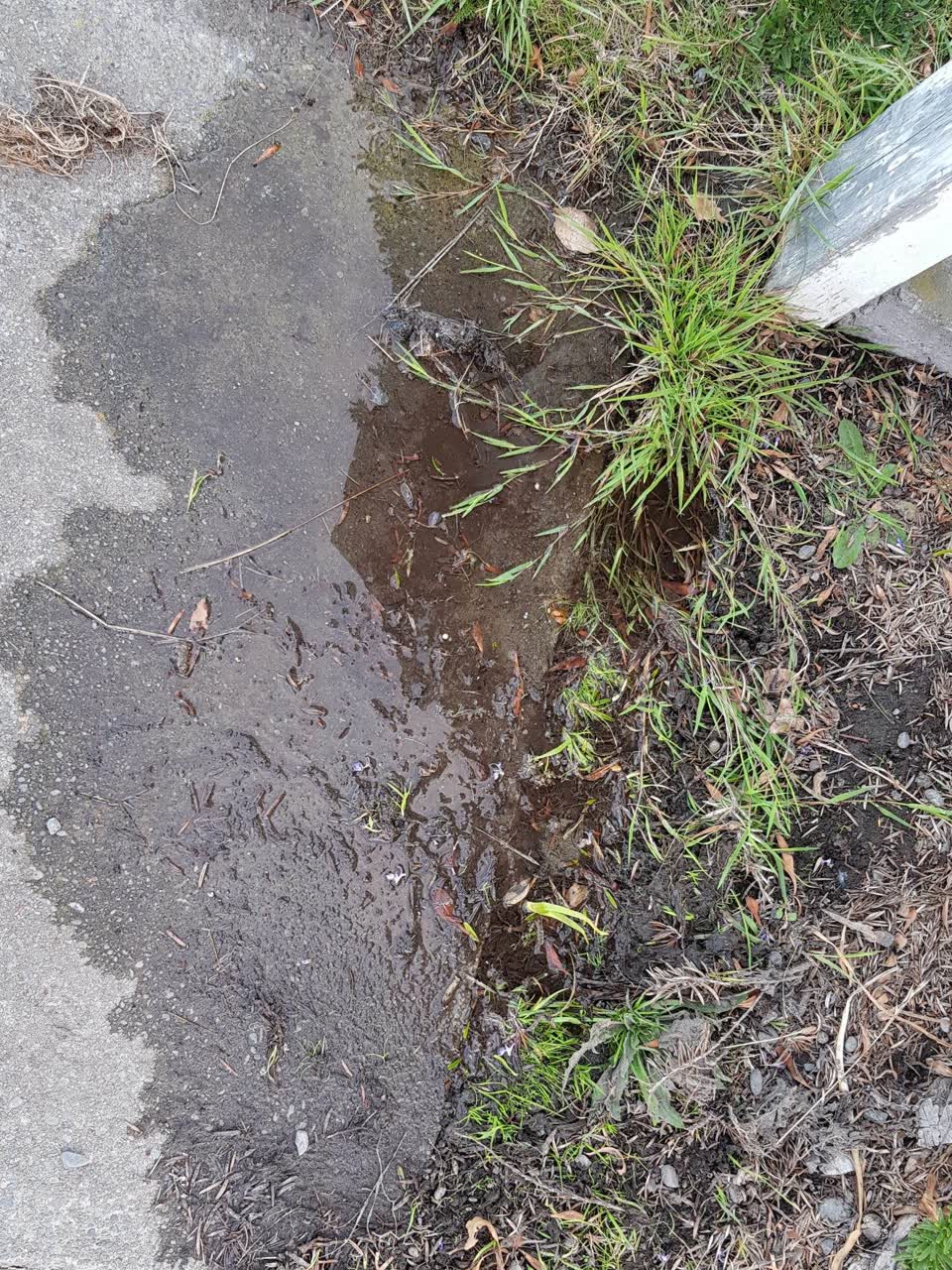 The photograph attached to this water supply report