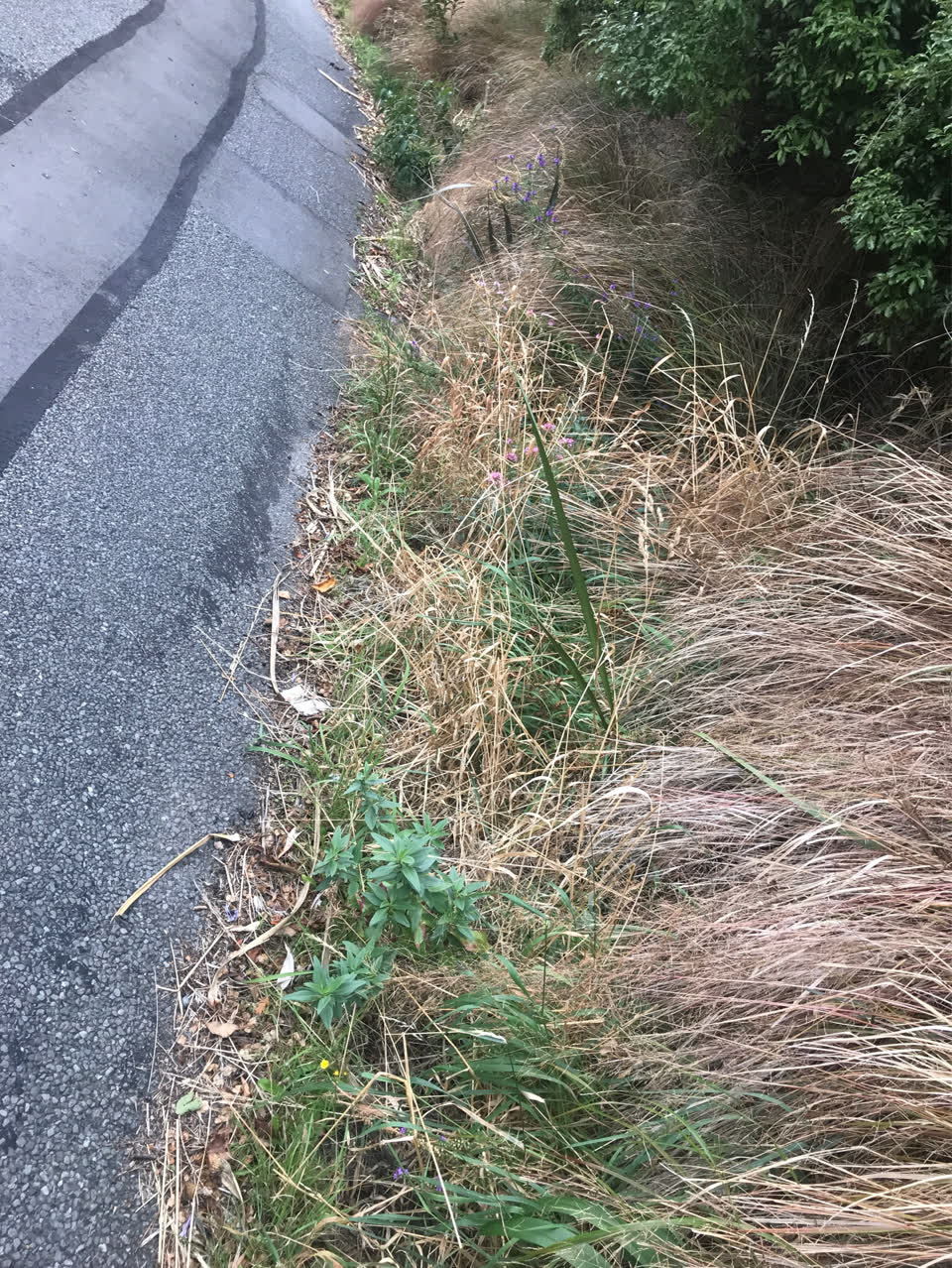 The photograph attached to this wastewater/stormwater report