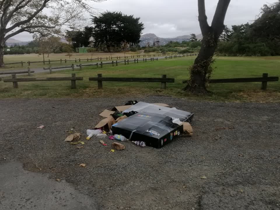The photograph attached to this rubbish/recycling report