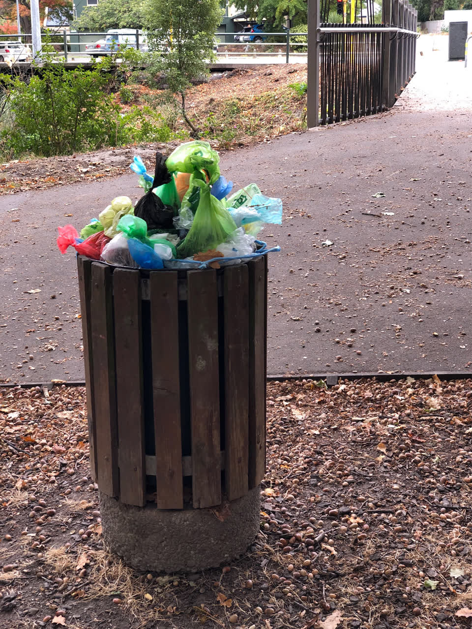 The photograph attached to this parks report
