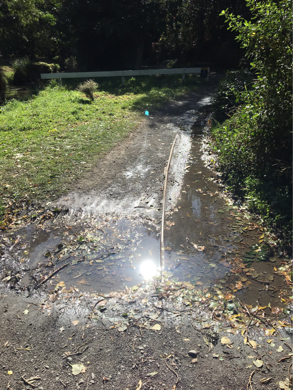 The photograph attached to this flooding report