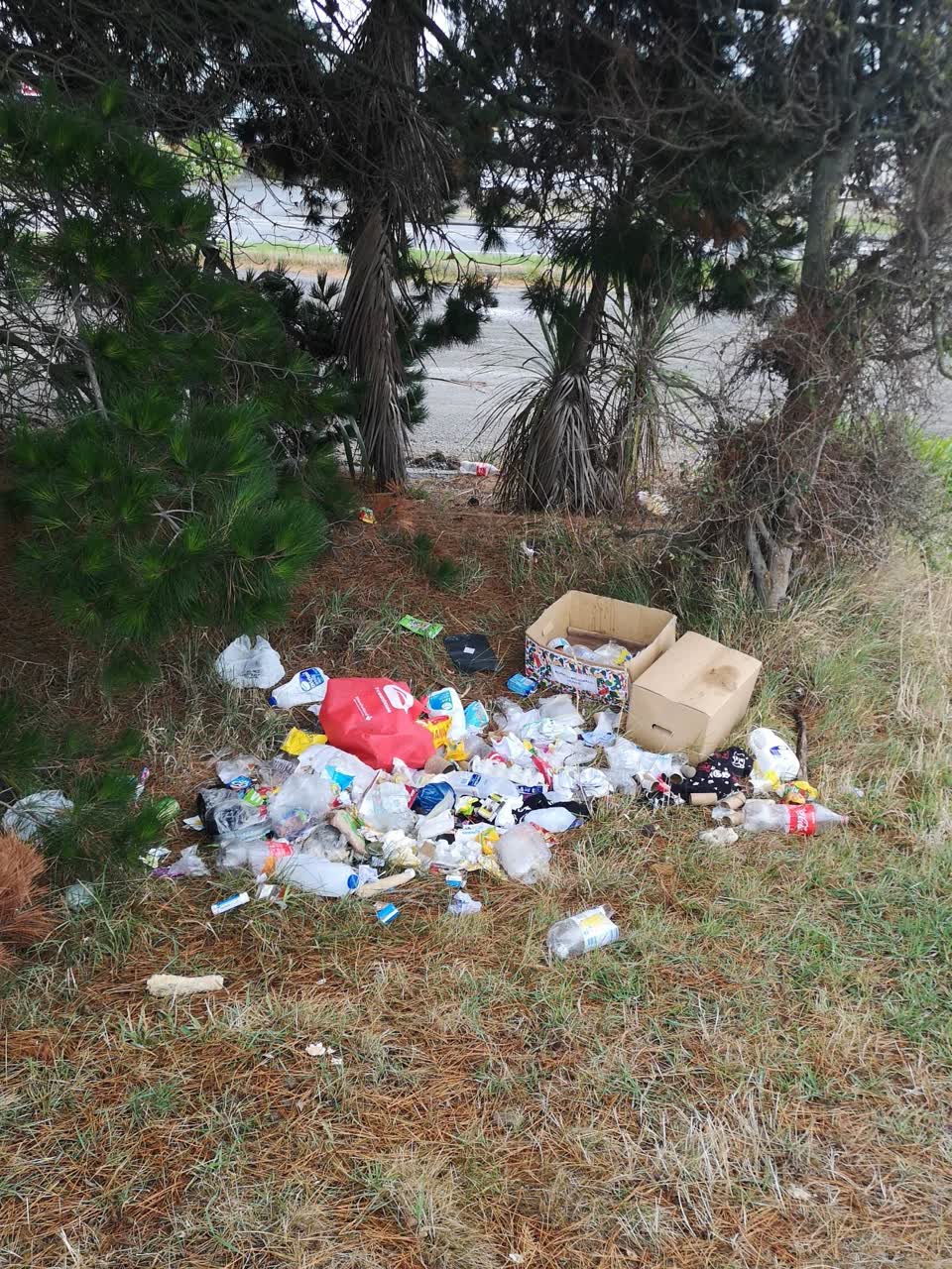 The photograph attached to this rubbish/recycling report