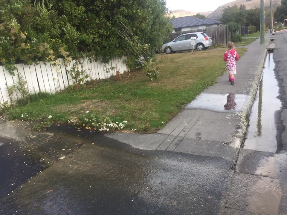 The photograph attached to this water supply report