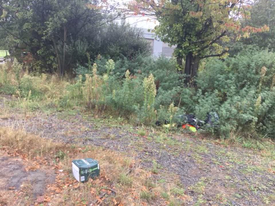 The photograph attached to this rubbish/recycling report