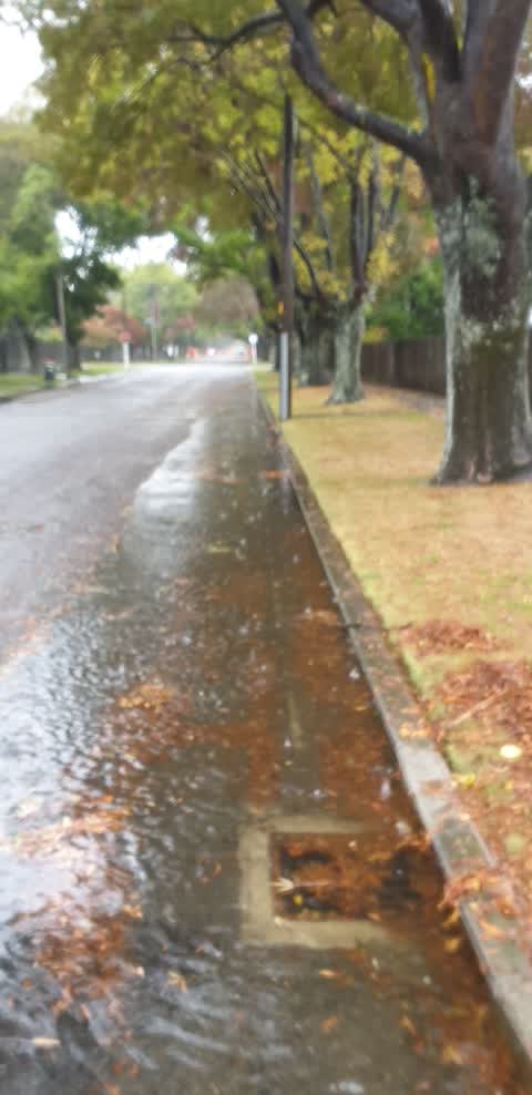 Flooding, a report photo