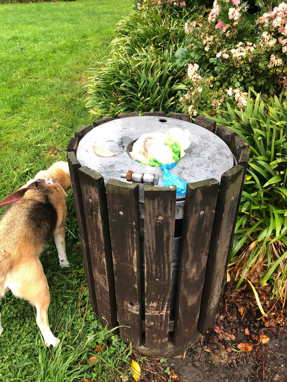 The photograph attached to this parks report
