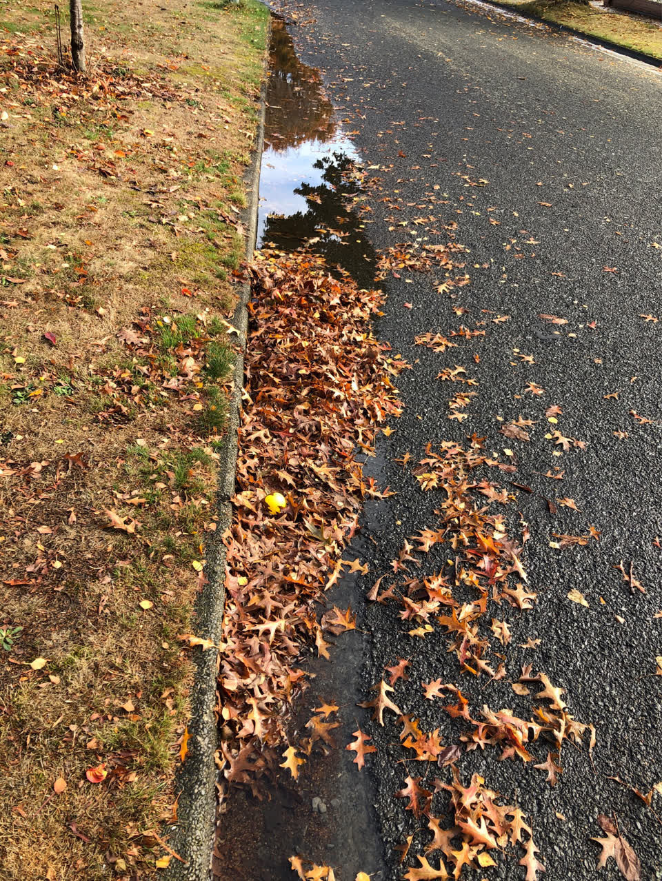 The photograph attached to this flooding report