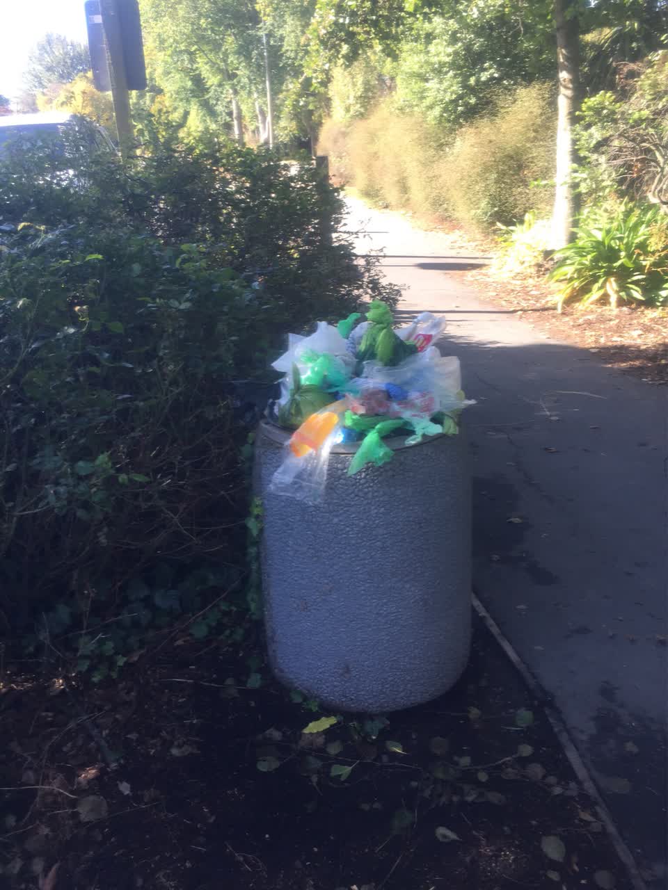 The photograph attached to this rubbish/recycling report