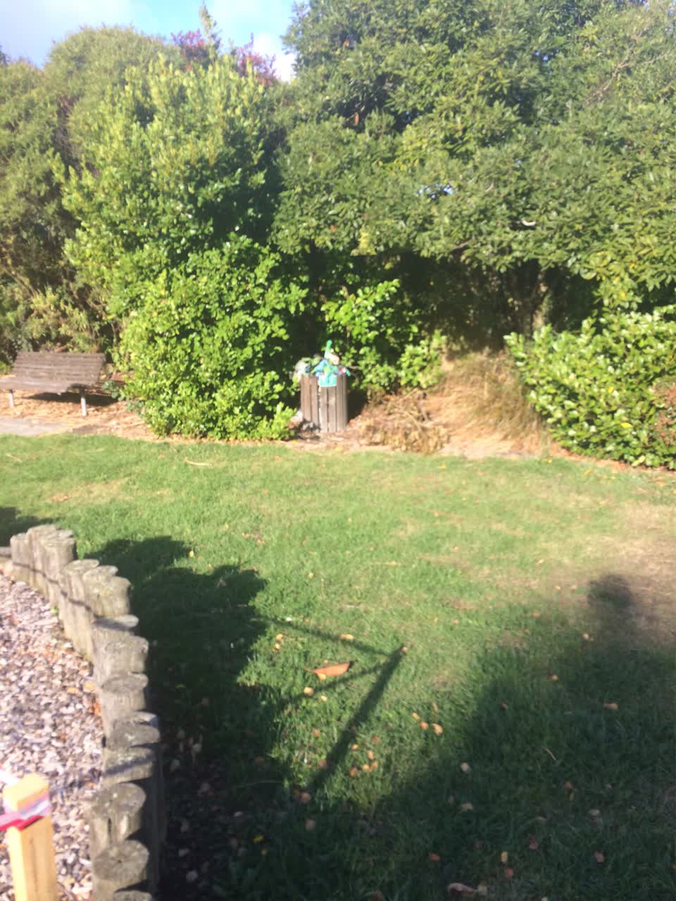 The photograph attached to this parks report